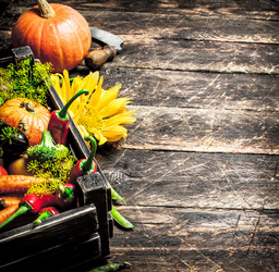 Similar image 15922296