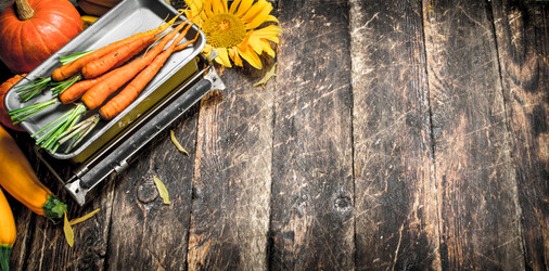 Similar image 15922335