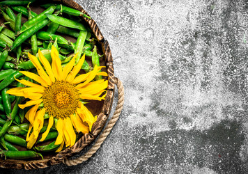 Similar image 15922450