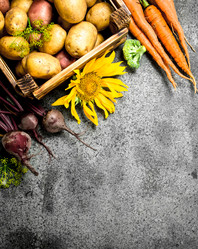 Similar image 15922516