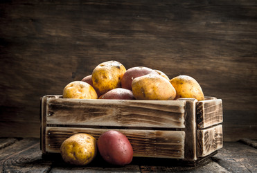 Similar image 15915972