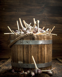 Similar image 15916311