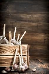 Similar image 15916420