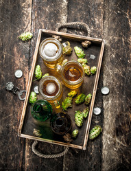 Similar image 15917769