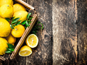 Similar image 15921310