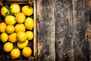 Similar image 15921344