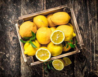 Similar image 15921508