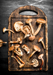 Similar image 15922022