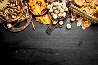 Similar image 15922055