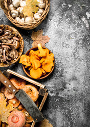 Similar image 15922121