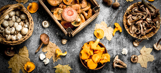 Similar image 15922141