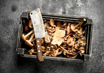 Similar image 15922198