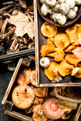 Similar image 15922256