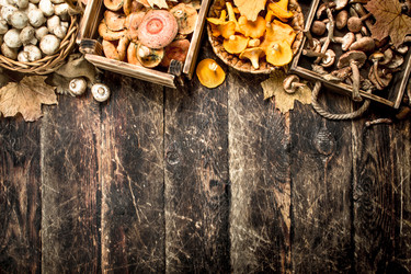 Similar image 15922362