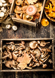 Similar image 15922391