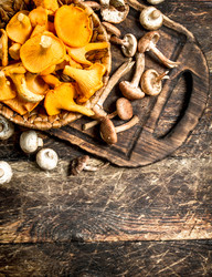 Similar image 15922434