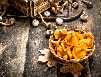 Similar image 15922477