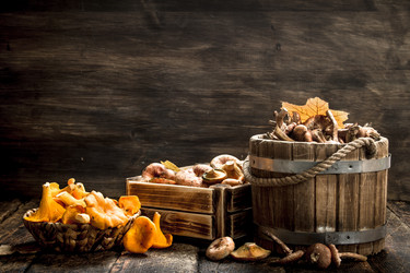 Similar image 15922517