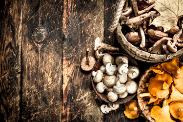 Similar image 15922634