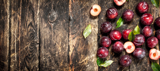 Similar image 15917408