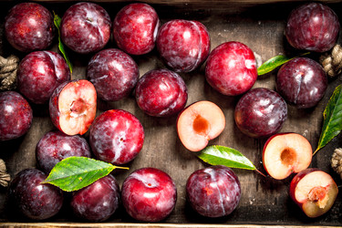 Similar image 15917463