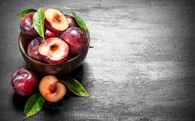 Similar image 15917585