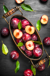 Similar image 15917597