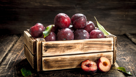 Similar image 15918167