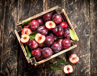 Similar image 15918210