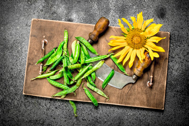 Similar image 15921042