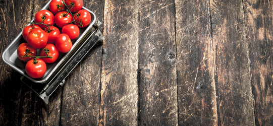 Similar image 15921186