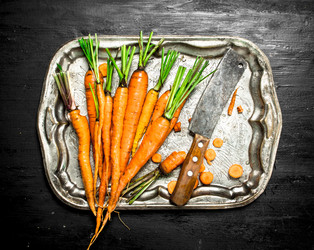 Similar image 15921454