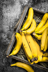 Similar image 15916145