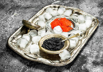 Similar image 15917082