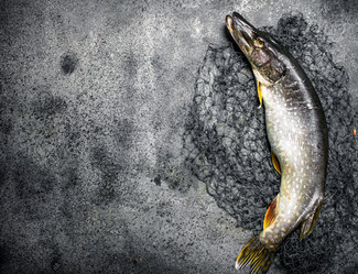 Similar image 15919971