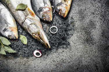 Similar image 15919993