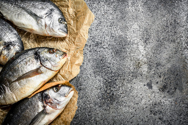 Similar image 15920042