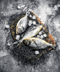 Similar image 15920199