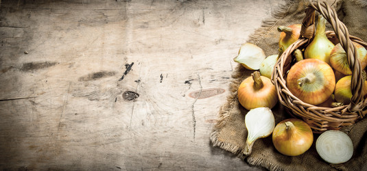 Similar image 15922025