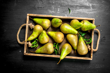 Similar image 15922638