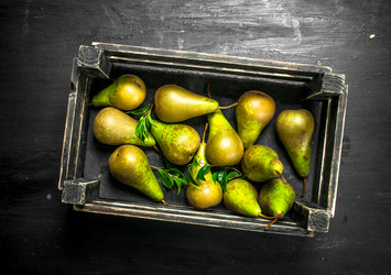 Similar image 15922654