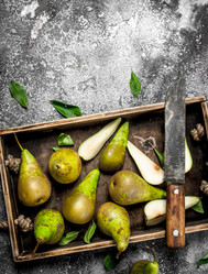 Similar image 15923278