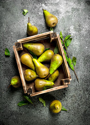 Similar image 15923328