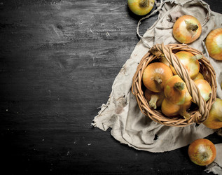 Similar image 15923692