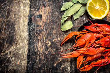 Similar image 15917390