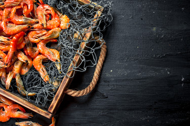 Similar image 15917550