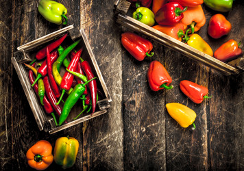 Similar image 15918386