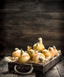 Similar image 15920695