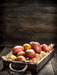 Similar image 15920934