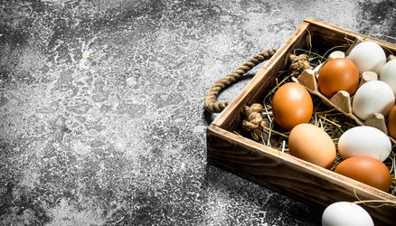 Similar image 15916006